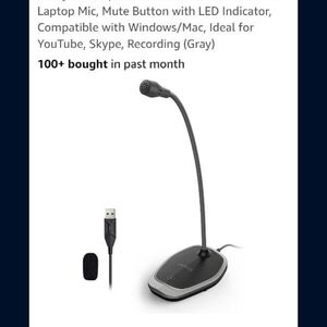 Gray USB Desktop Microphone with Mute Button